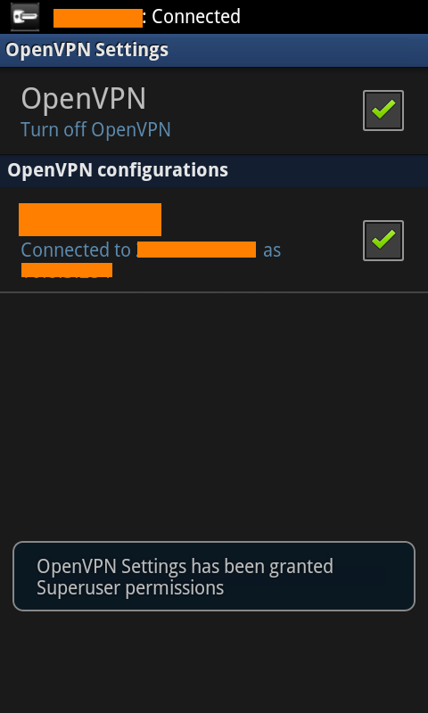 OpenVPN Successfully Connected